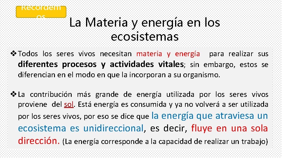 Recordem os La Materia y energía en los ecosistemas v Todos los seres vivos