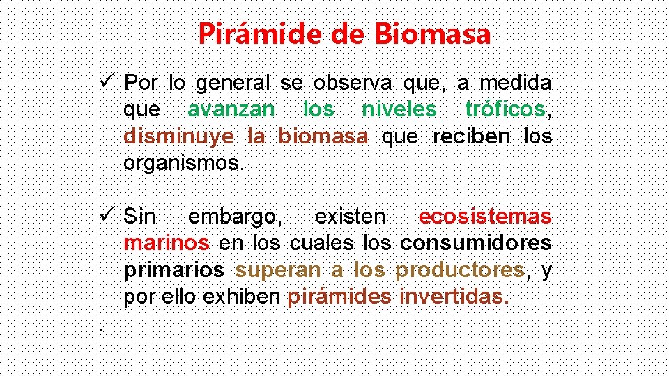 Pirámide de Biomasa ü Por lo general se observa que, a medida que avanzan