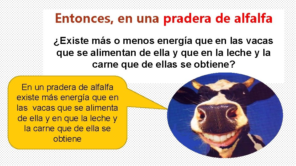 Entonces, en una pradera de alfalfa ¿Existe más o menos energía que en las