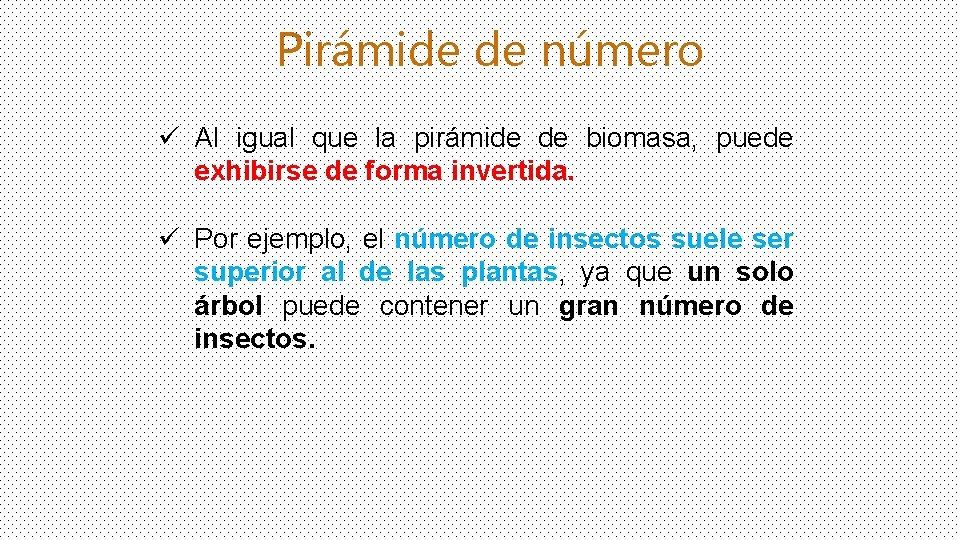 Pirámide de número ü Al igual que la pirámide de biomasa, puede exhibirse de