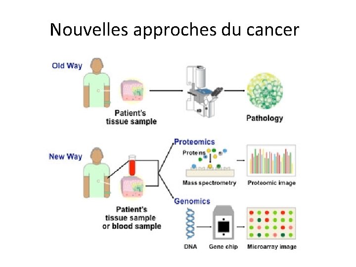 Nouvelles approches du cancer 