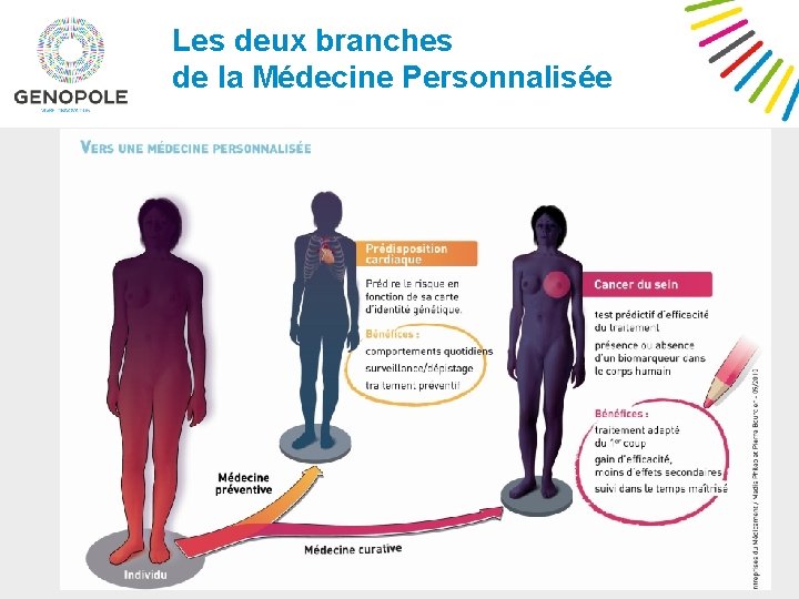 Les deux branches de la Médecine Personnalisée 