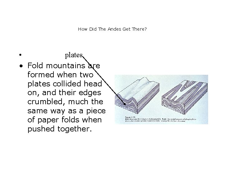 How Did The Andes Get There? • plates • Fold mountains are formed when