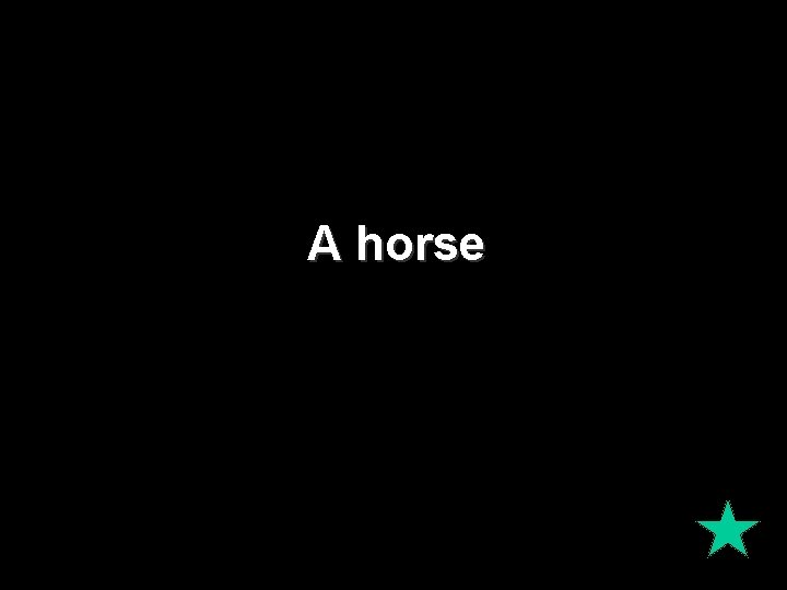 A horse 