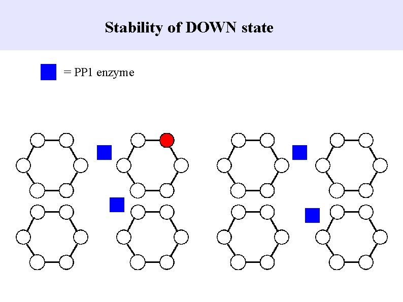 Stability of DOWN state = PP 1 enzyme 