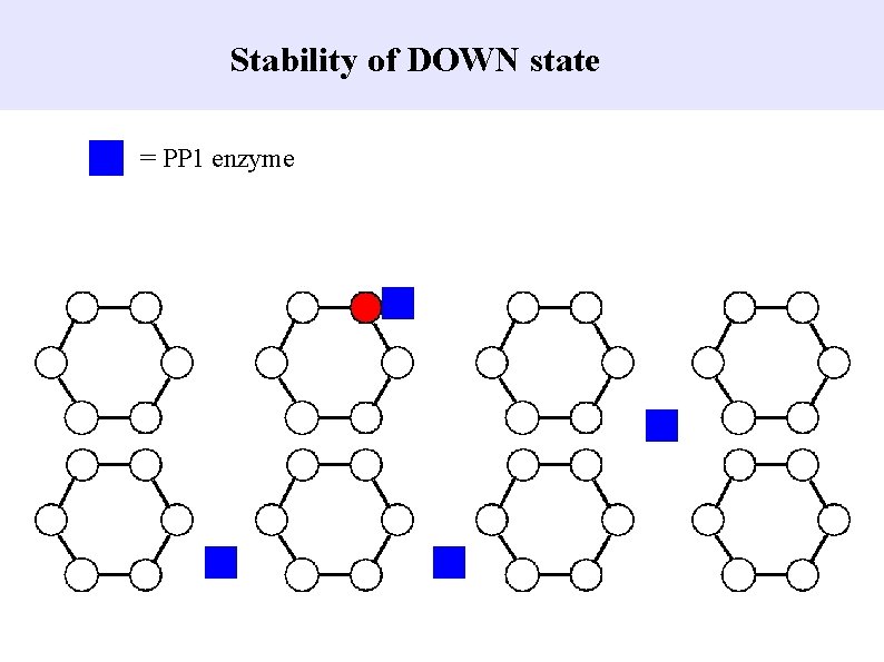 Stability of DOWN state = PP 1 enzyme 