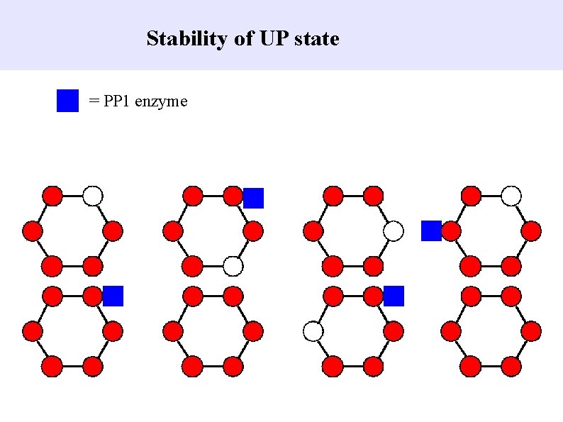 Stability of UP state = PP 1 enzyme 