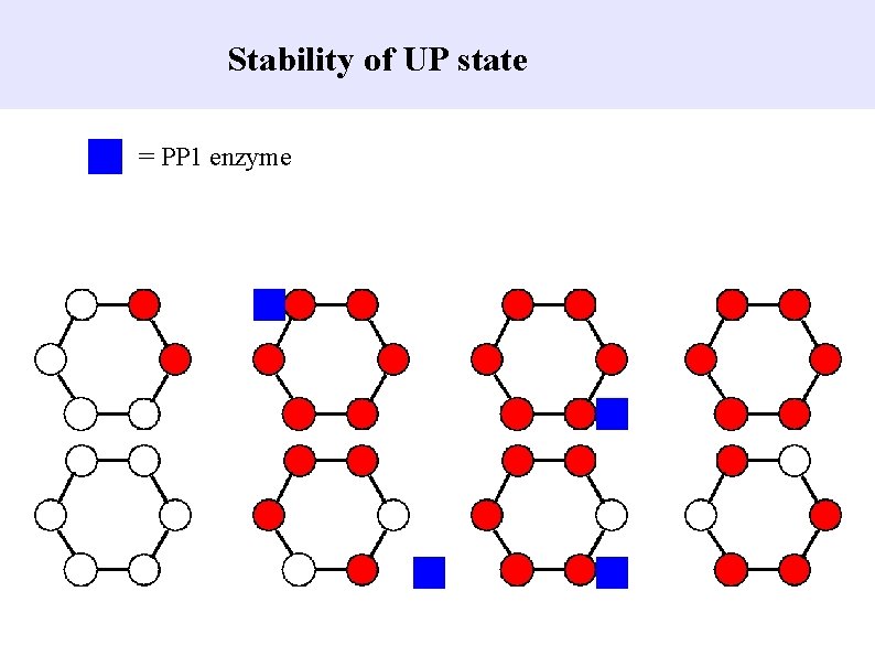 Stability of UP state = PP 1 enzyme 
