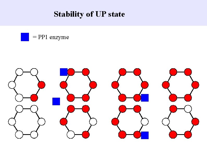 Stability of UP state = PP 1 enzyme 