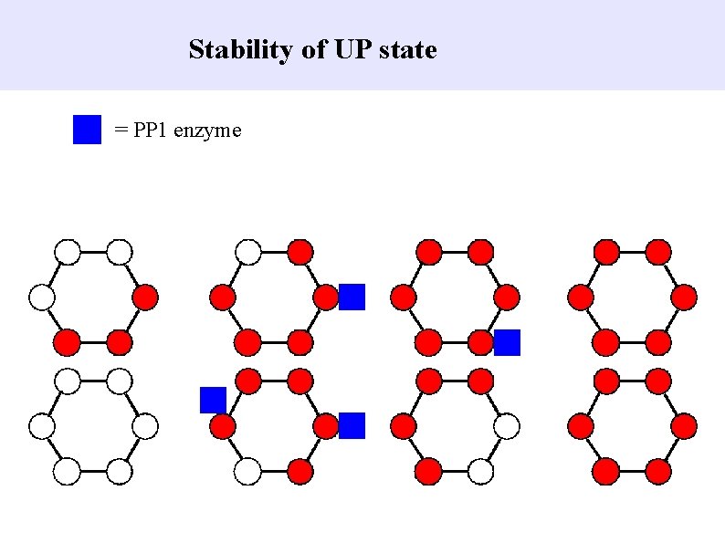 Stability of UP state = PP 1 enzyme 