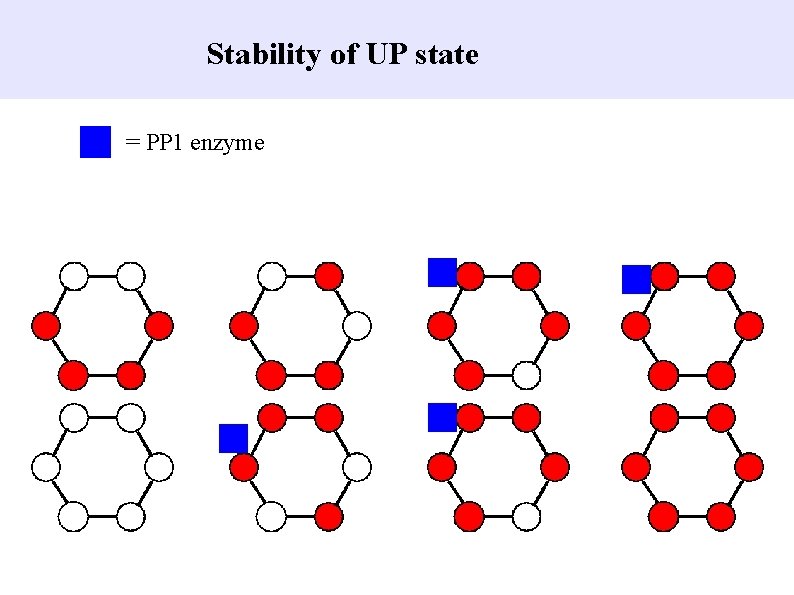 Stability of UP state = PP 1 enzyme 