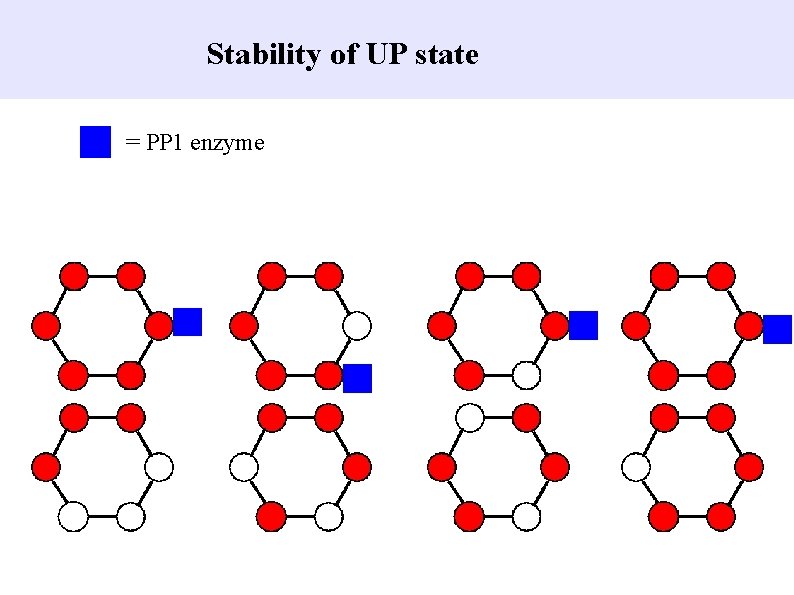 Stability of UP state = PP 1 enzyme 