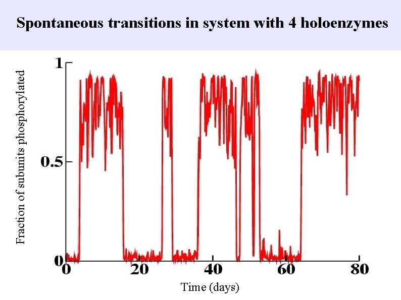 Fraction of subunits phosphorylated Spontaneous transitions in system with 4 holoenzymes Time (days) 