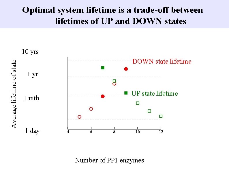 Optimal system lifetime is a trade-off between lifetimes of UP and DOWN states Average