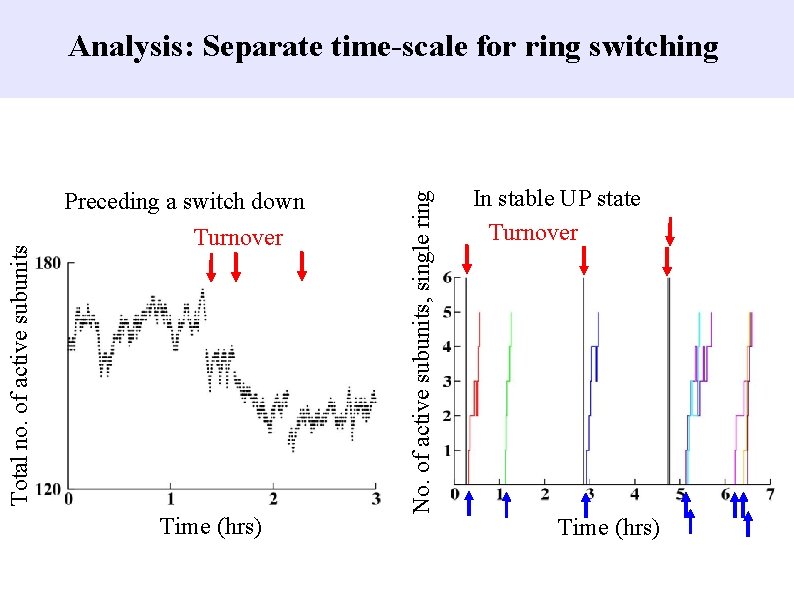 Preceding a switch down Turnover Time (hrs) No. of active subunits, single ring Total