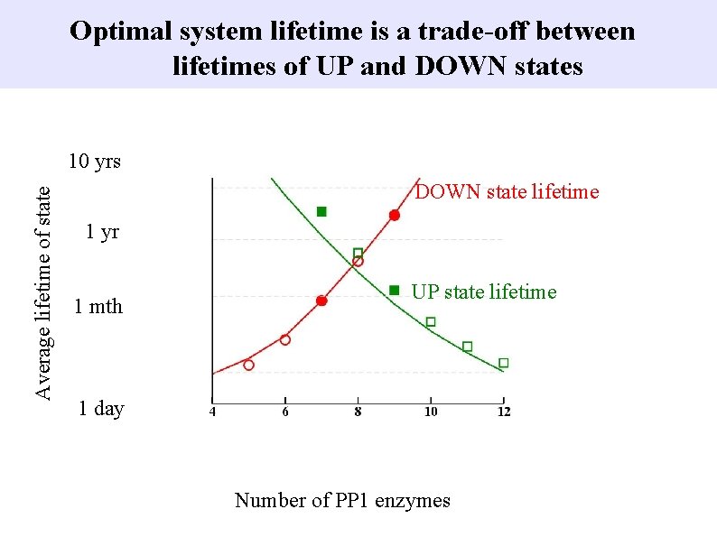 Optimal system lifetime is a trade-off between lifetimes of UP and DOWN states Average