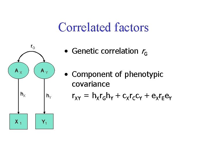 Correlated factors r. G AX h. X X 1 • Genetic correlation r. G