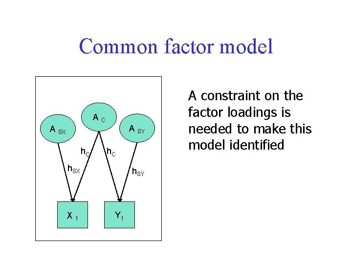 Common factor model AC A SY A SX h. C h. SX X 1