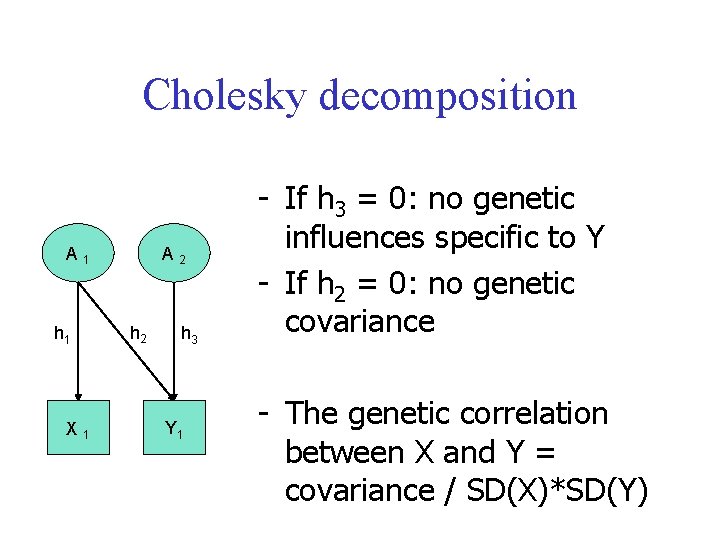 Cholesky decomposition A 1 h 1 X 1 A 2 h 3 Y 1