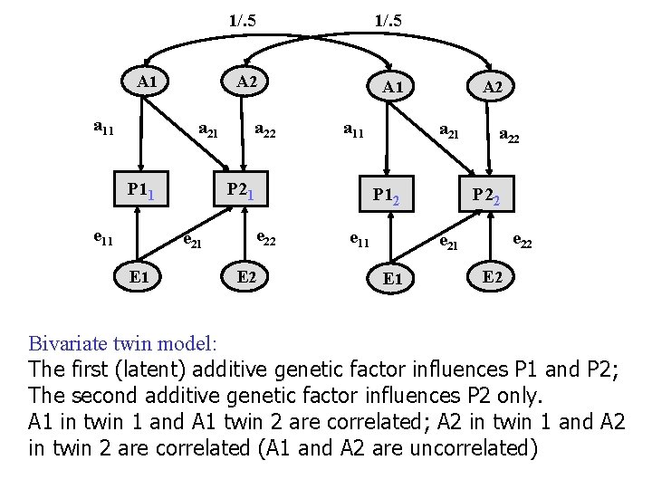 A 1 a 11 1/. 5 A 2 A 1 a 21 P 11