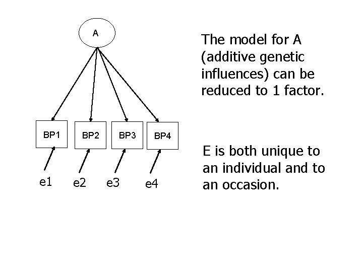 A BP 1 e 1 BP 2 e 2 The model for A (additive