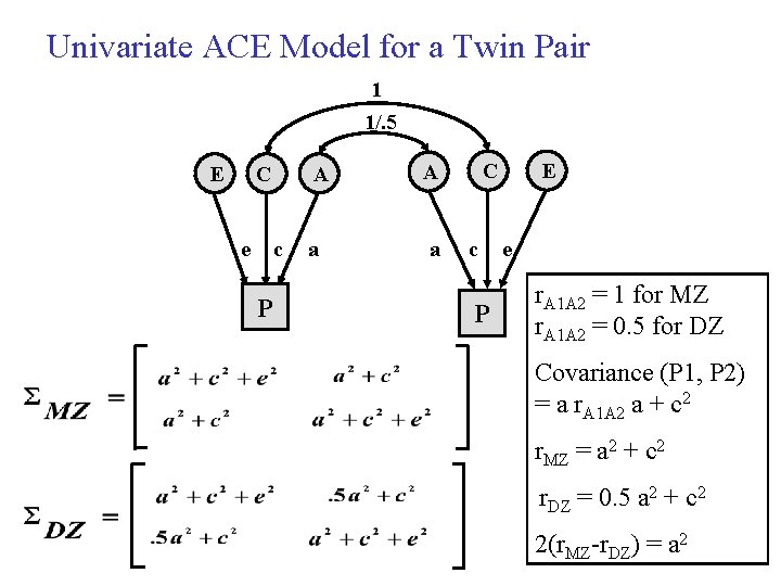 Univariate ACE Model for a Twin Pair 1 1/. 5 E C e c