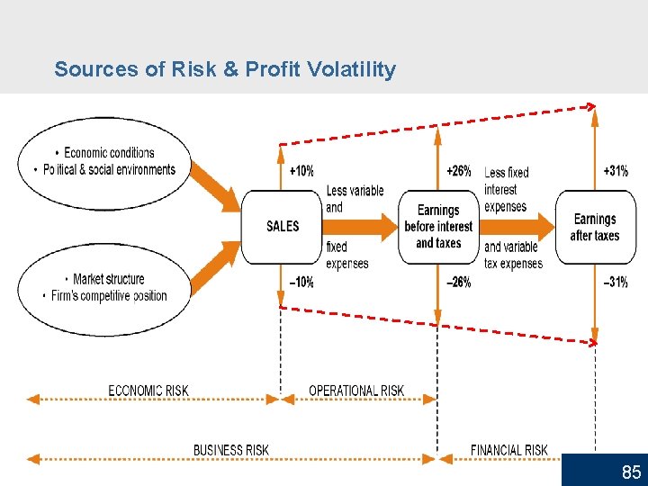 Sources of Risk & Profit Volatility 85 