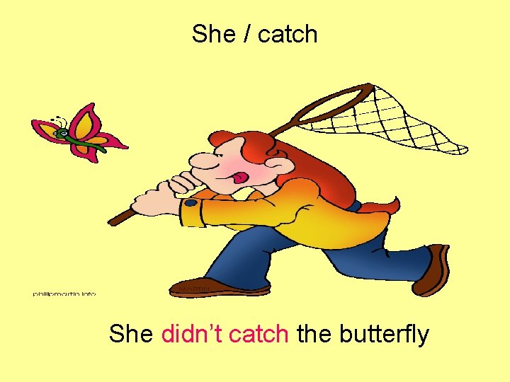 She / catch She didn’t catch the butterfly 