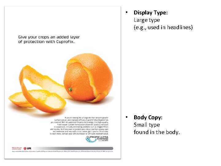 • Display Type: Large type (e. g. , used in headlines) • Body • Display Type: Large type (e. g. , used in headlines) • Body