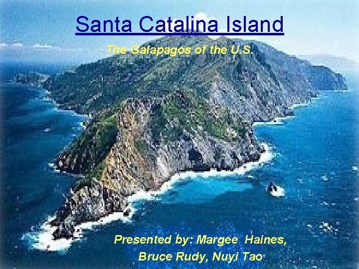 Santa Catalina Island The Galapagos of the U. S. Presented by: Margee Haines, Bruce