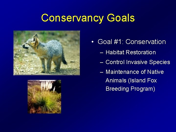 Conservancy Goals • Goal #1: Conservation – Habitat Restoration – Control Invasive Species –