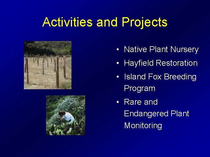 Activities and Projects • Native Plant Nursery • Hayfield Restoration • Island Fox Breeding
