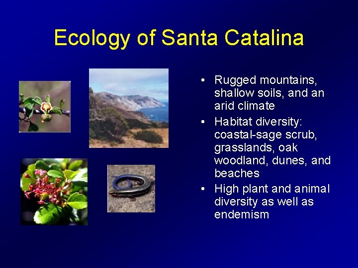 Ecology of Santa Catalina • Rugged mountains, shallow soils, and an arid climate •