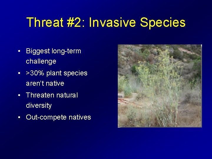 Threat #2: Invasive Species • Biggest long-term challenge • >30% plant species aren’t native