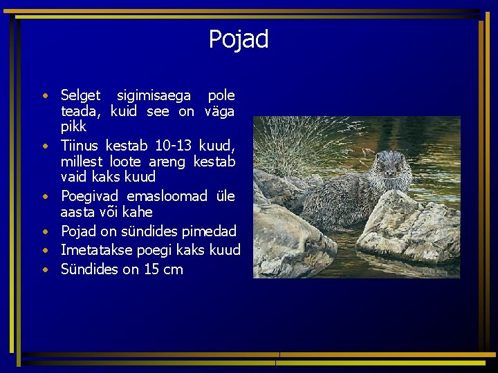 Pojad • Selget sigimisaega pole teada, kuid see on väga pikk • Tiinus kestab