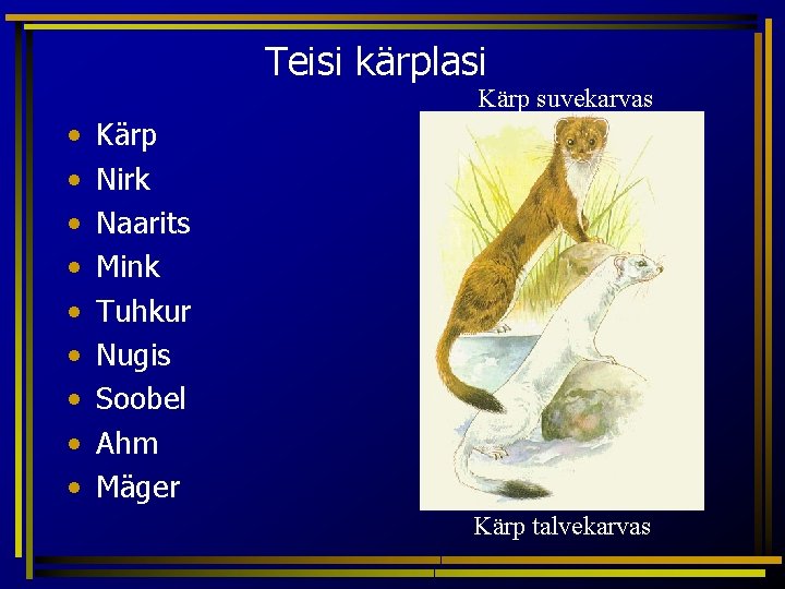 Teisi kärplasi Kärp suvekarvas • • • Kärp Nirk Naarits Mink Tuhkur Nugis Soobel