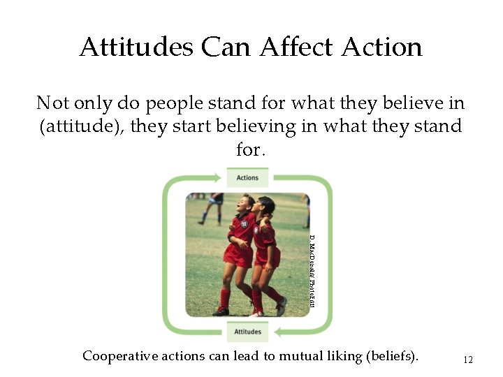 Attitudes Can Affect Action Not only do people stand for what they believe in