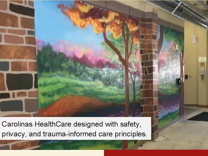 Carolinas Health. Care designed with safety, privacy, and trauma-informed care principles. 