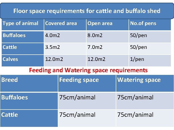 Floor space requirements for cattle and buffalo shed Type of animal Covered area Open