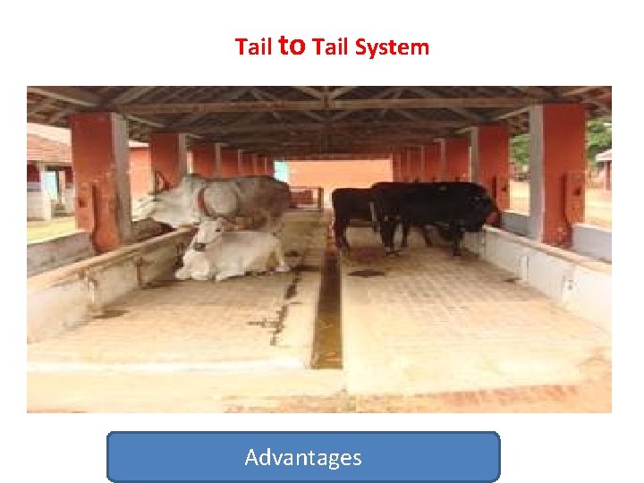 Tail to Tail System Advantages 