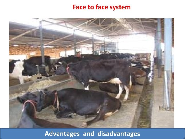 Face to face system Advantages and disadvantages 