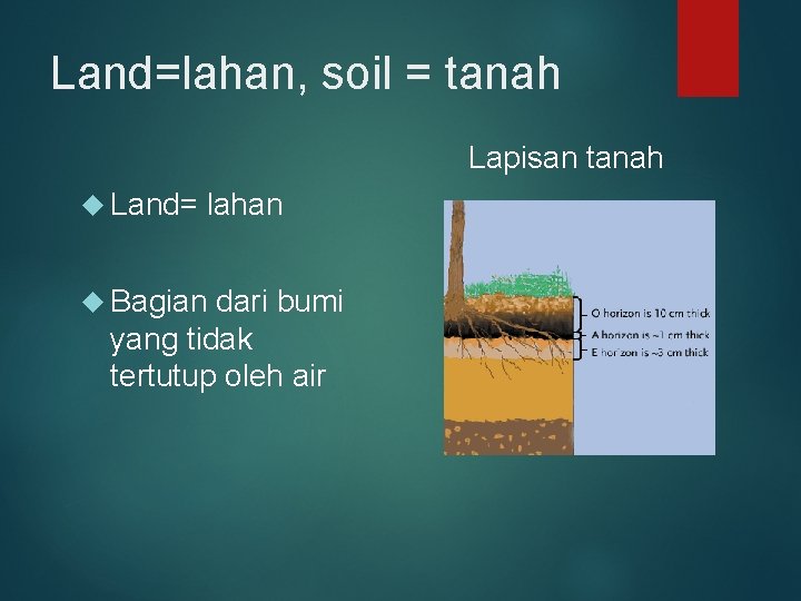 Land=lahan, soil = tanah Lapisan tanah Land= lahan Bagian dari bumi yang tidak tertutup