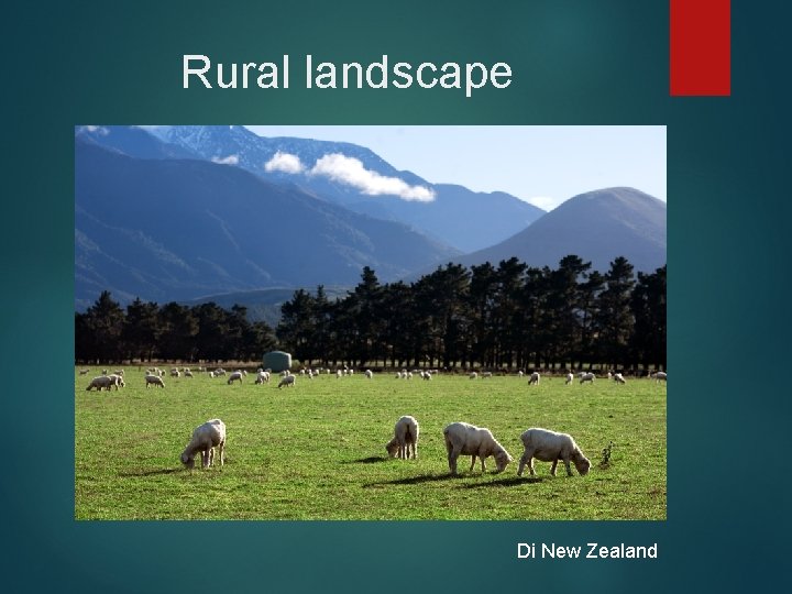 Rural landscape Di New Zealand 