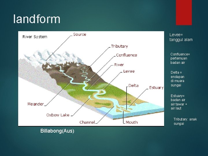 landform Levee= tanggul alam Confluence= pertemuan badan air Delta = endapan di muara sungai