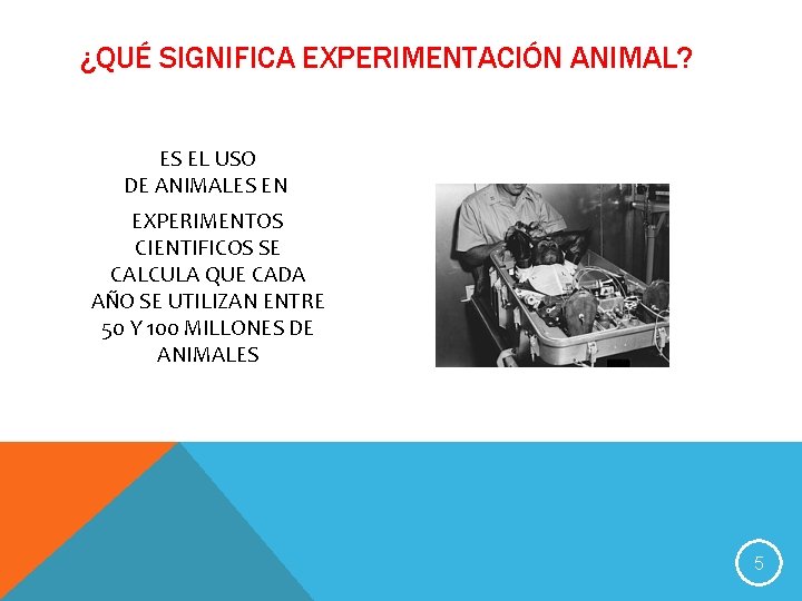 ¿QUÉ SIGNIFICA EXPERIMENTACIÓN ANIMAL? ES EL USO DE ANIMALES EN EXPERIMENTOS CIENTIFICOS SE CALCULA
