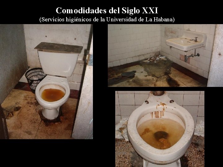 Comodidades del Siglo XXI (Servicios higiénicos de la Universidad de La Habana) 