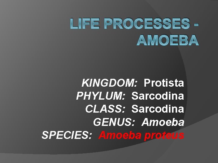 LIFE PROCESSES AMOEBA KINGDOM: Protista PHYLUM: Sarcodina CLASS: Sarcodina GENUS: Amoeba SPECIES: Amoeba proteus