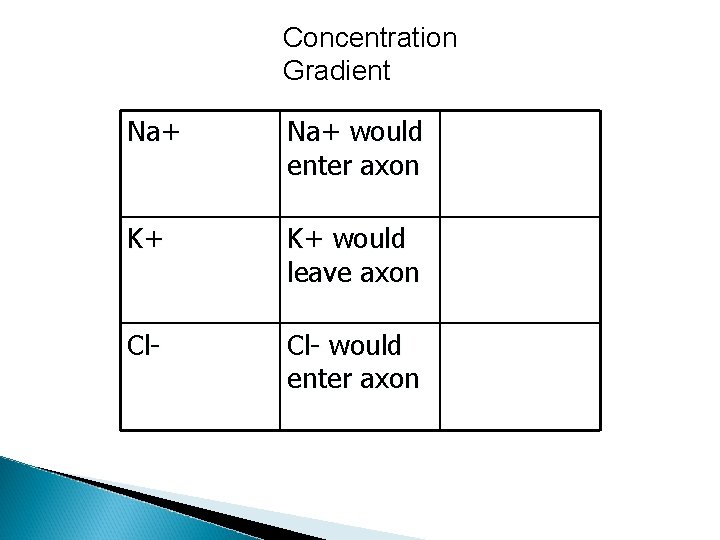 Concentration Gradient Na+ would enter axon K+ K+ would leave axon Cl- would enter