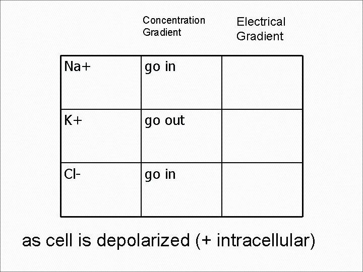 Concentration Gradient Na+ go in K+ go out Cl- go in Electrical Gradient as