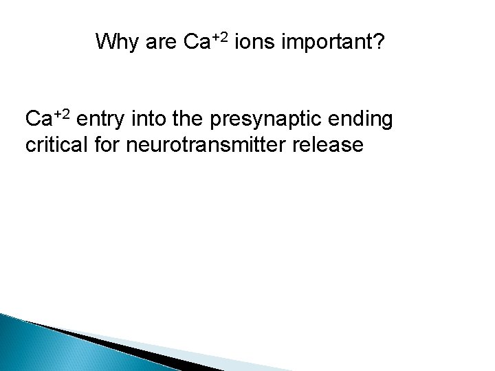 Why are Ca+2 ions important? Ca+2 entry into the presynaptic ending critical for neurotransmitter